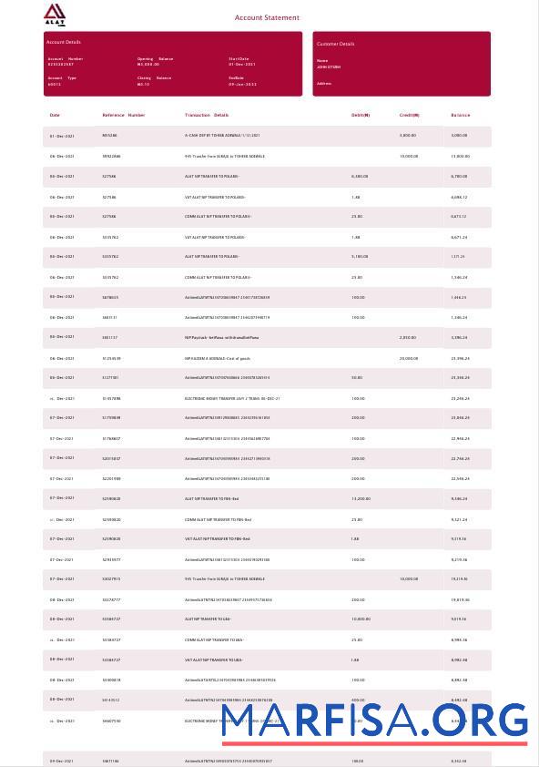 Realistic Nigeria ALAT bank statement word 4 pages sample